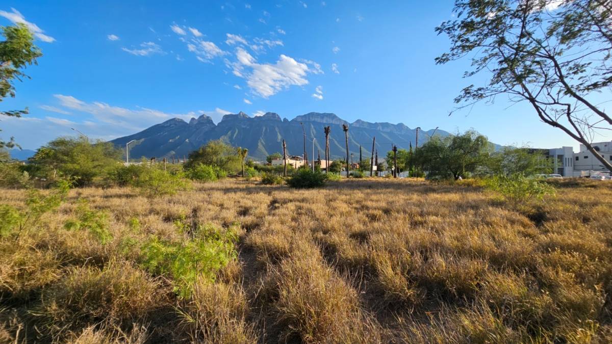 Vista lateral del terreno